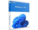 Windows 11 pro visionforsoft