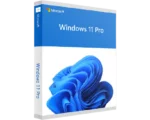Windows 11 pro visionforsoft