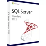 SQL Server 2022 Standard License Key